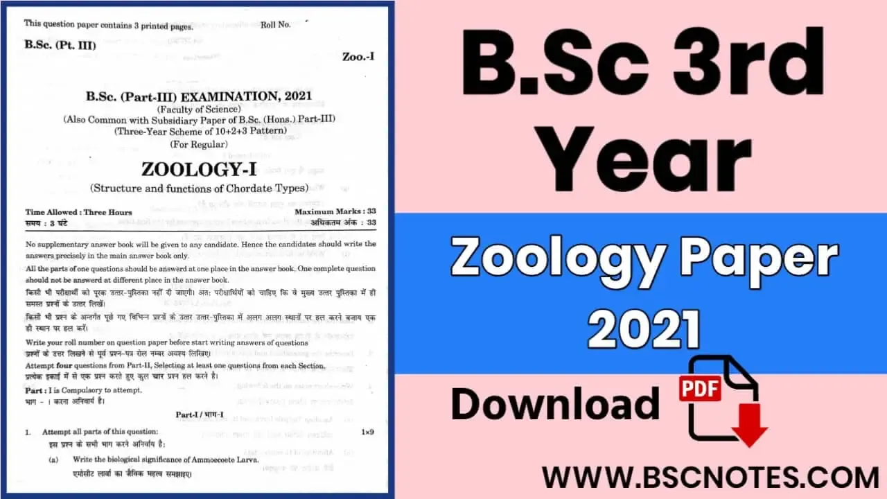 B.Sc 3rd Year Zoology Question Paper 1st 2021 PDF